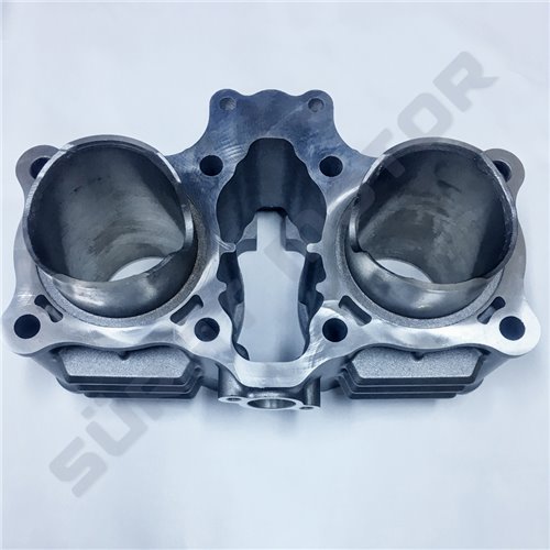 530-007 Suzuki Inazuma Silindir Orj.