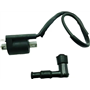 549-008 Activa 125i Ateşleme Bobini Orjinal