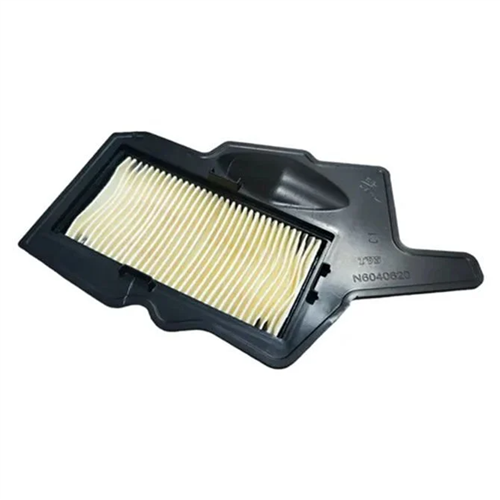 Raider 125 Hava Filtresi Orj.
