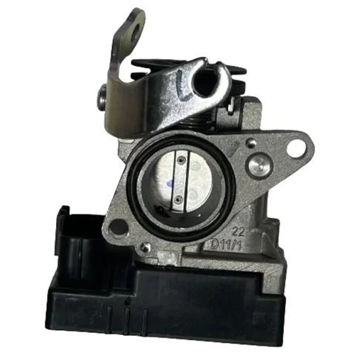 Jupiter 110 E5 Beyin Orj.